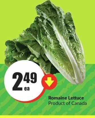 FreshCo Romaine Lettuce offer