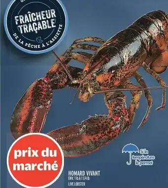 Metro Live lobster offer
