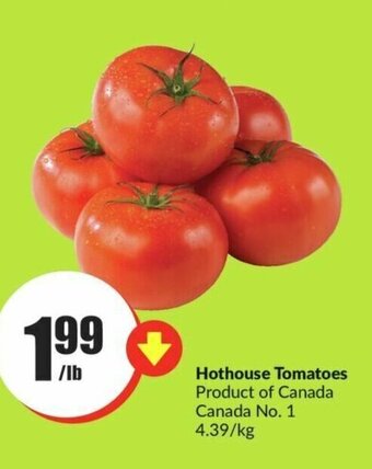 FreshCo Hothouse Tomatoes offer