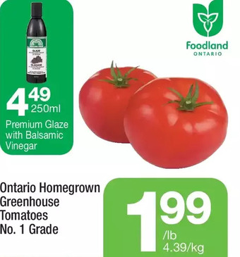 Highland Farms Ontario homegrown greenhouse tomatoes offer