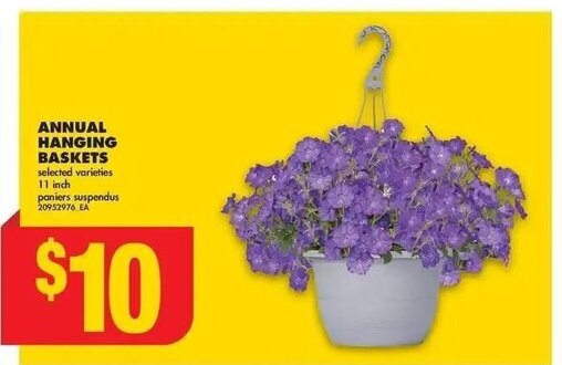 No Frills ANNUAL HANGING BASKETS 11 incANNUAL HANGING BASKETS selected varieties 11 inch offer