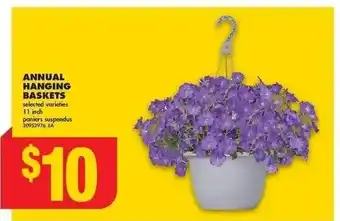 No Frills ANNUAL HANGING BASKETS 11 incANNUAL HANGING BASKETS selected varieties 11 inch offer