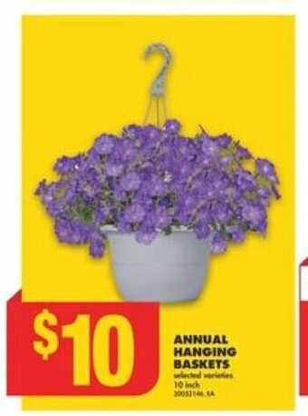 No Frills ANNUAL HANGING BASKETS 10 inch. offer