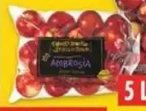 No Frills FARMER'S MARKET AMBROSIA APPLES 5 LB BAG offer