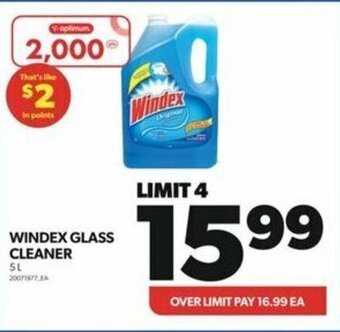 Real Canadian Superstore WINDEX GLASS CLEANER 5 L offer