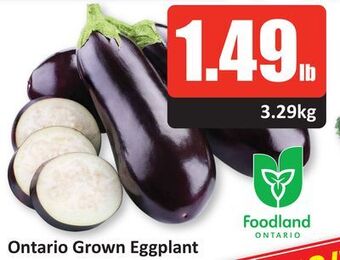 Starsky Ontario grown eggplant offer