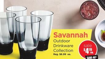 Kitchen Stuff Plus Savannah outdoor drinkware offer