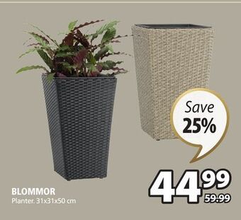 JYSK Blommor planter offer