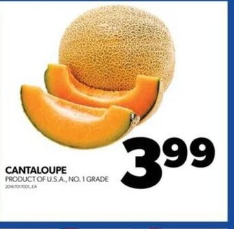 Real Canadian Superstore CANTALOUPE offer