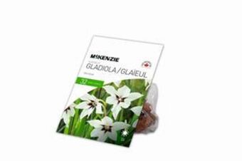 Peavey Mart Seeds gladiolus acidanthera offer