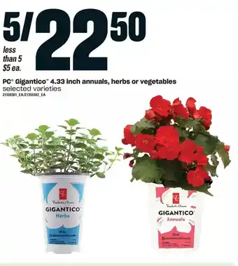 Independent Grocer Pc gigantico 4.33 inch annuals, herbs or vegetables offer