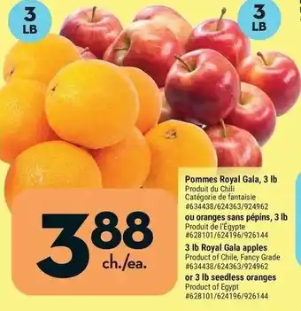 Giant Tiger 3 lb Royal Gala apples or or 3 lb seedless oranges Product of Egypt #628101/624196/926144 offer