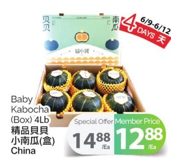 T&T Supermarket Baby kabocha (box) offer