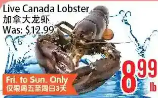 Bestco Food Mart Live canada lobster offer