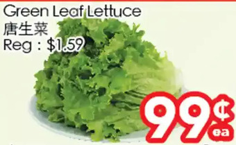 Superking Supermarket Green leaf lettuce offer