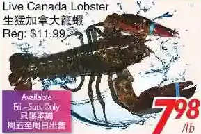 Foody World Live canada lobster offer