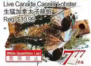 Tone Tai Supermarket Live canada canner lobster offer