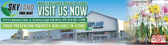 Skyland Foodmart Orchid flower offer