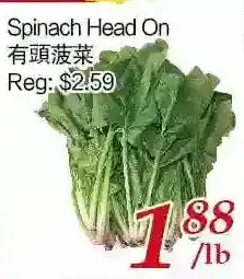 Tone Tai Supermarket Spinach head on offer