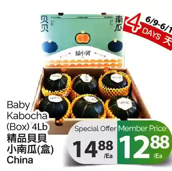 T&T Supermarket Baby kabocha offer