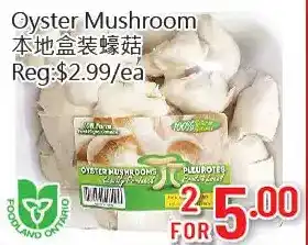 Hong Tai Supermarket Oyster mushroom offer