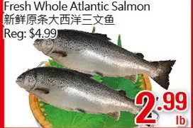 Hong Tai Supermarket Fresh whole atlantic salmon offer