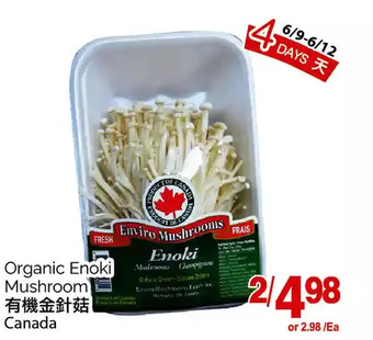 T&T Supermarket Organic enoki mushroom offer