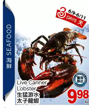 T&T Supermarket Live canner lobster offer