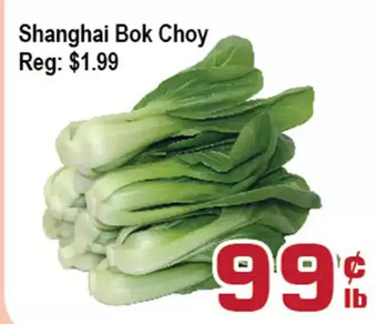 Top Food Supermarket Shanghai bok choy offer