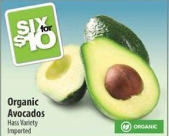 Co-op Organic Avocados offer