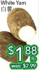 Ample Food Market White yam offer