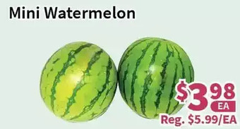 Blue Sky Supermarket Mini watermelon offer
