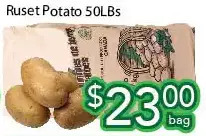 Ample Food Market Ruset potato offer