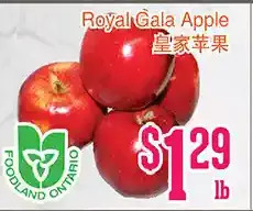 Grant's Foodmart Royal gala apple offer