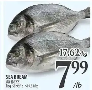 Al Premium Food Mart Sea bream offer