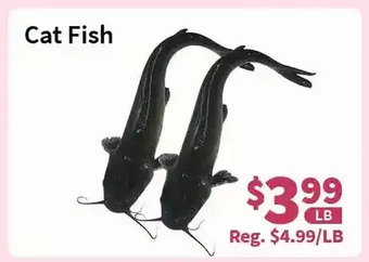 Blue Sky Supermarket Cat fish offer