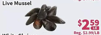 Blue Sky Supermarket Live mussel offer