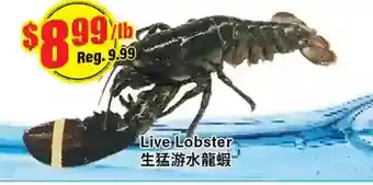 Btrust Supermarket Live lobster offer