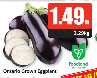 Starsky Ontario Grown Eggplant lb offer