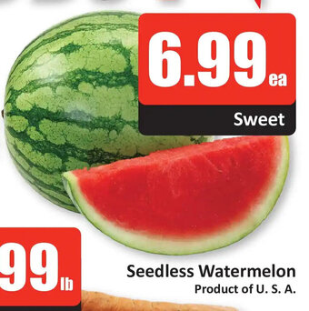 Starsky Seedless Watermelon offer