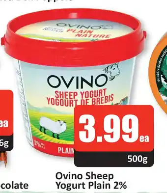 Ovino Sheep Yogurt Plain 2% ,500g