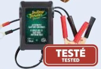 Canadian Tire Junior 0.75A Maintainer offer