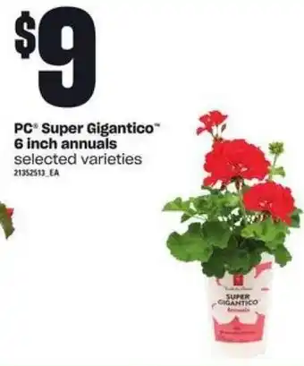 Independent Grocer PC Super Gigantico 6 inch annuals selected varieties offer