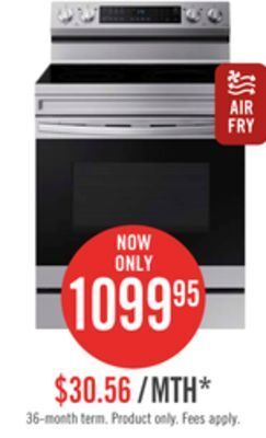 The Brick Samsung 6.3 cu. ft. freestanding electric range - ne63a6511ss/ac offer