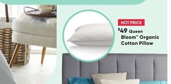 Sleep Country Bloom organic cotton pillow offer
