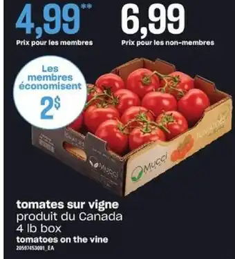 Provigo tomatoes on the vine 4 lb box offer
