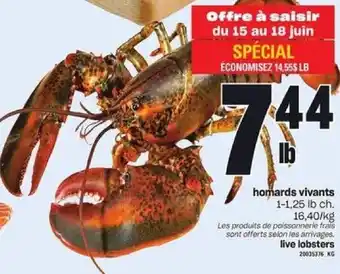 Provigo LIVE LOBSTERS offer