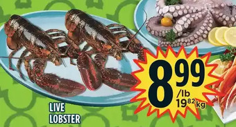 Marché Adonis Live lobster offer