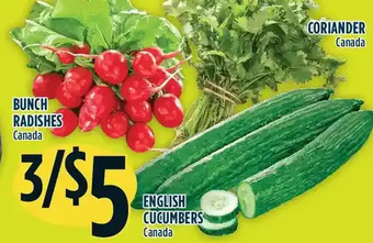 Marché Adonis Bunch radishes offer
