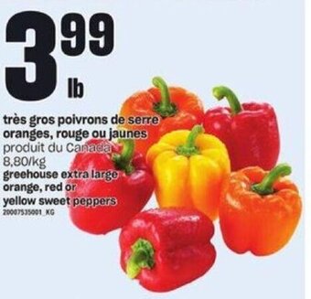 Provigo greehouse extra large orange, red or yellow sweet peppers offer